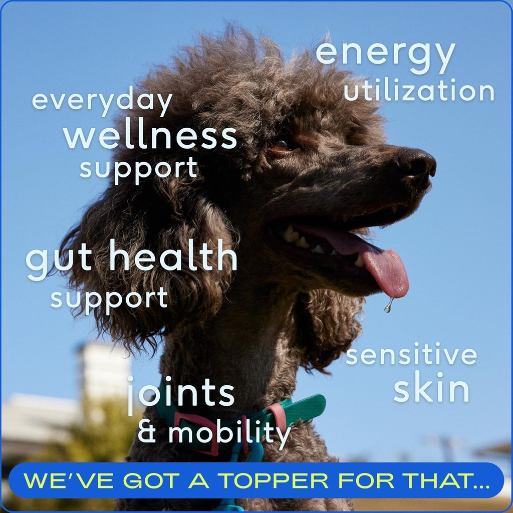 native-pet-pack-leaders-bundle---daily-d-2.jpg
