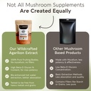 longevity-botanicals-agarikon-mushroom-p-2.jpg