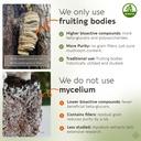 longevity-botanicals-agarikon-mushroom-p-5.jpg