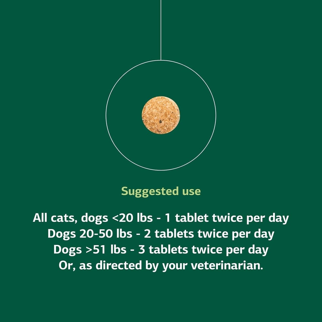 standard-process-inc-vf-bio-dent-for-pet-5.jpg