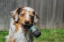 biologicvet-biofats---contains-omegas-3--5.jpg