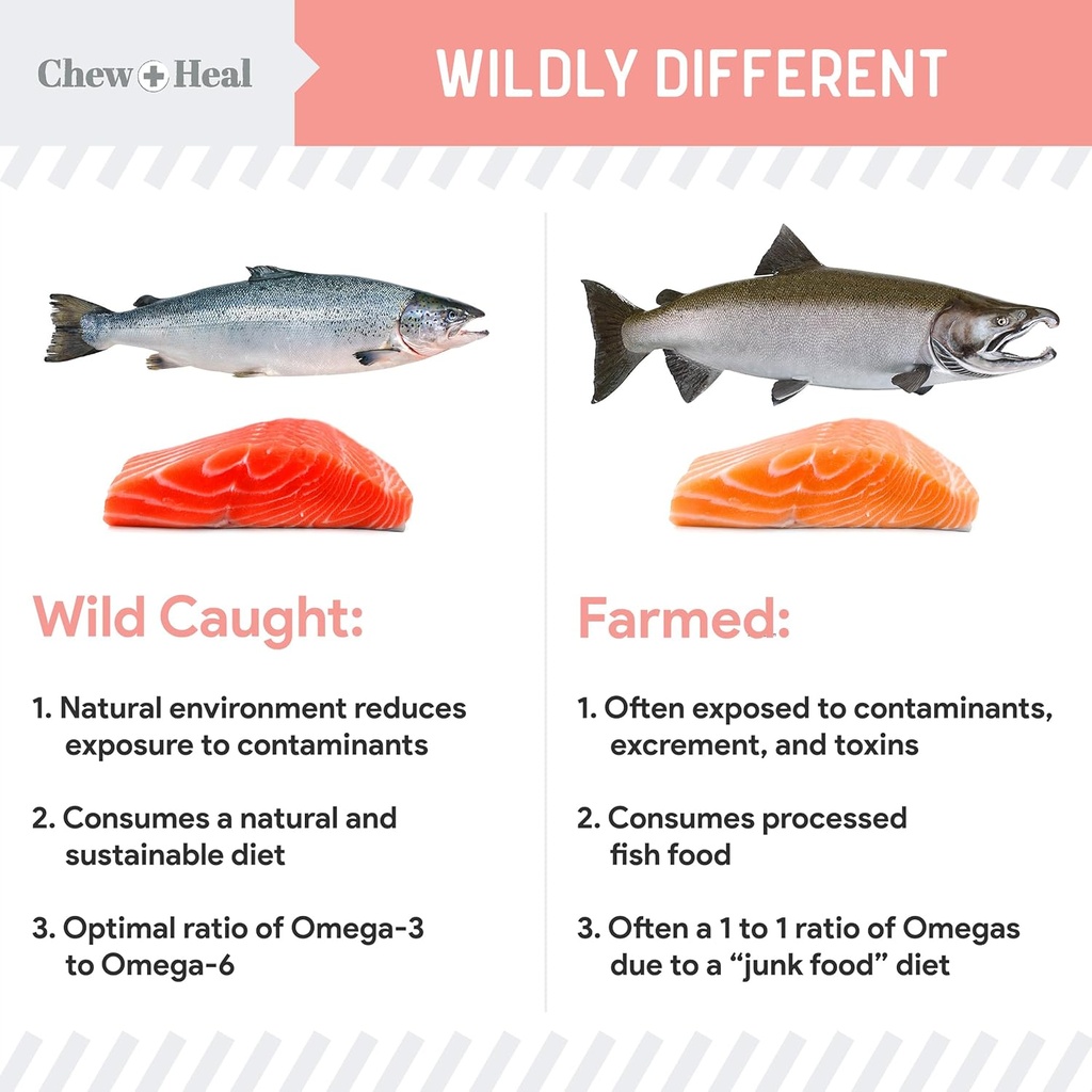 wild-alaskan-salmon-fish-oil-for-dogs----5.jpg