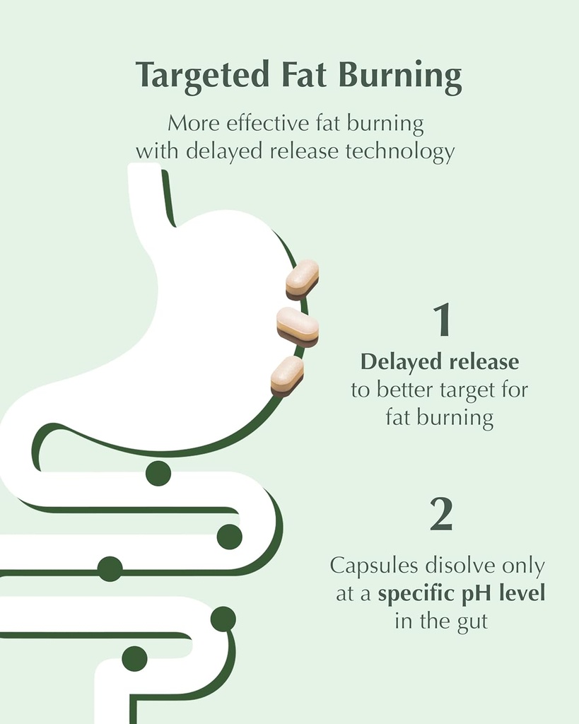 metagreen-slim-green-tea-extract-egcg-co-3.jpg