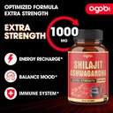 agobi-210-capsules-600mg-shilajit-supple-3.jpg