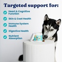 solid-gold-dog-multivitamin---soft-dog-v-3.jpg