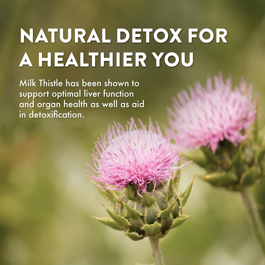 mt-angel-vitamins-milk-thistle---vegetar-4.jpg