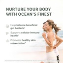 prominent-nutrition-fucoidan-gut-health--3.jpg