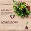 best-botanicals-black-walnut-leaf-cut-16-4.jpg