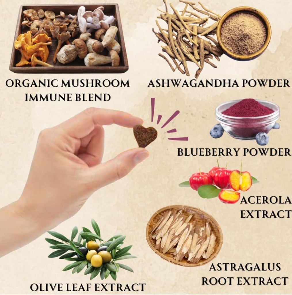 dogs-immune-support-mushroom-supplement--5.jpg