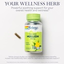 solaray-mullein-leaf-330-mg-and-marshmal-4.jpg