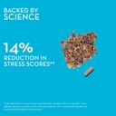 hum-big-chill-rhodiola-rosea-supplement--3.jpg
