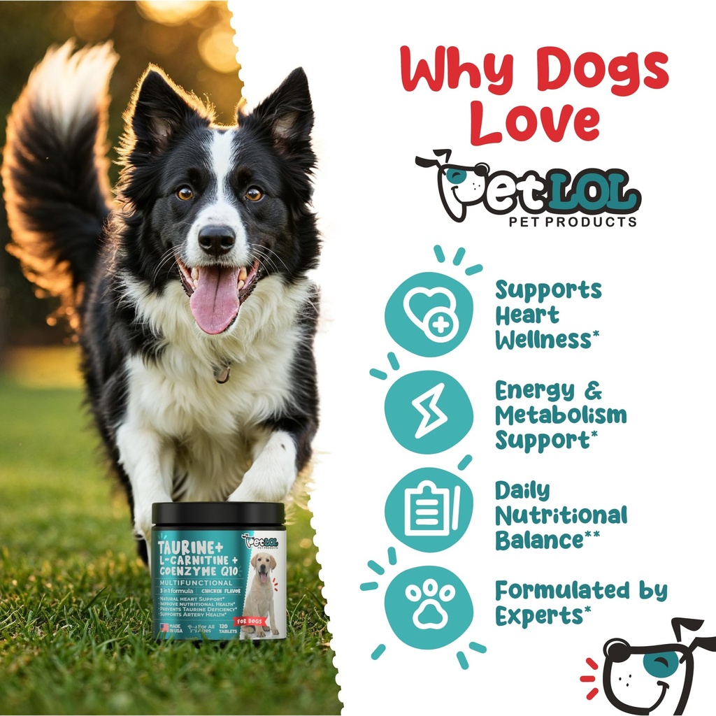 taurine-supplement-for-dogs-with-l-carni-5.jpg