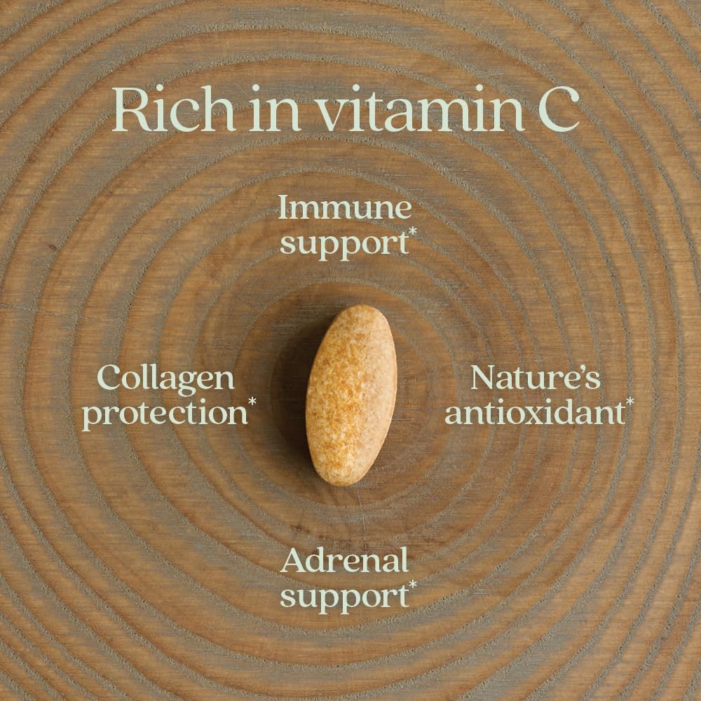 new-chapter-fermented-vitamin-c-elderber-4.jpg