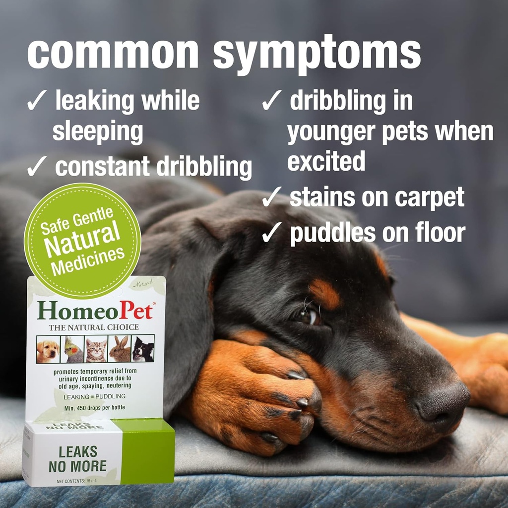 homeopet-leaks-no-more-safe-gentle-and-n-3.jpg