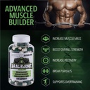 enhanced-athlete---arachidonic-acid-supp-2.jpg