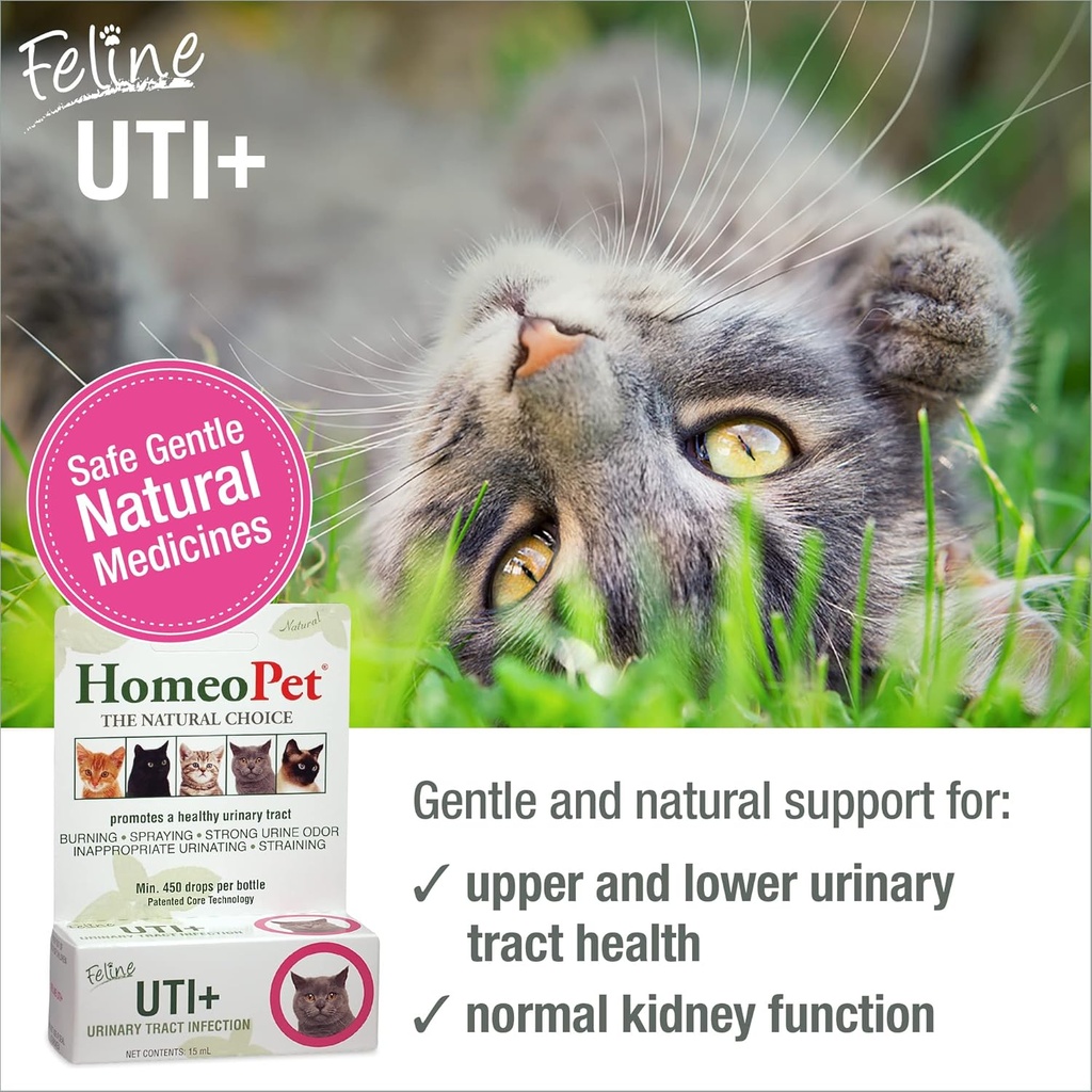 homeopet-feline-uti-plus-safe-and-natura-2.jpg