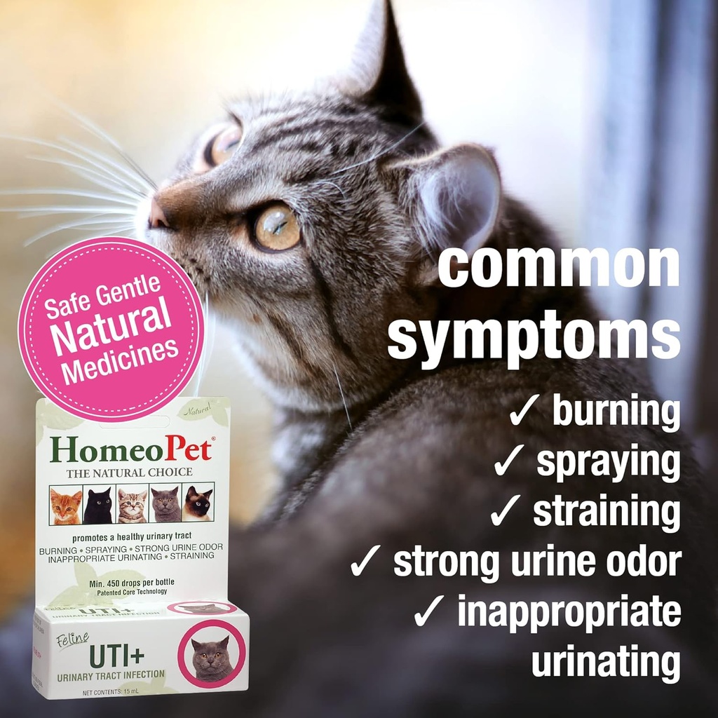 homeopet-feline-uti-plus-safe-and-natura-3.jpg
