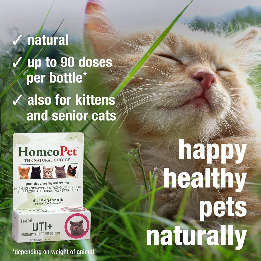 homeopet-feline-uti-plus-safe-and-natura-4.jpg