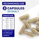 wellzymes-lymphidrain-formulated-to-prom-5.jpg