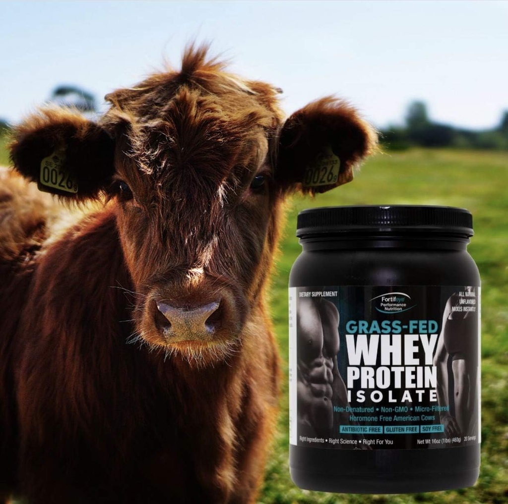 fortifeye-super-protein-new-zealand-gras-5.jpg