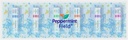 peppermint-field-nasal-inhaler---strong--3.jpg