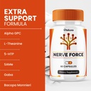 3-pack-nerve-force-neuropathy-supplement-2.jpg