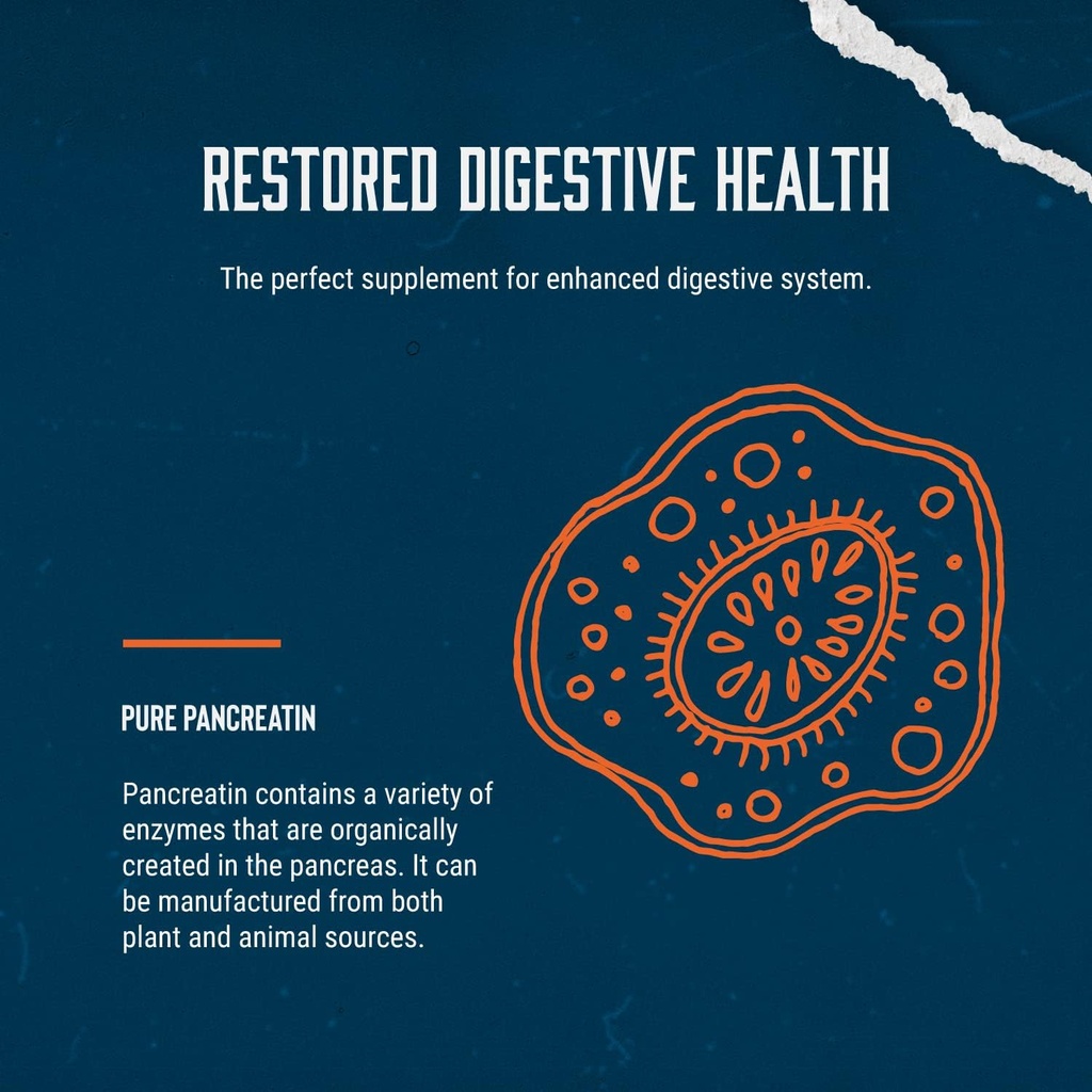digestive-enzyme-supplements-for-gut-hea-5.jpg