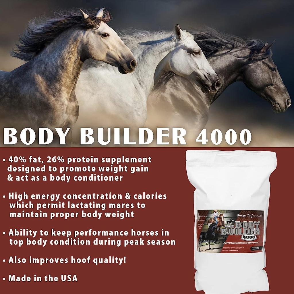 body-builder-4000-horse-weight-gain-supp-3.jpg