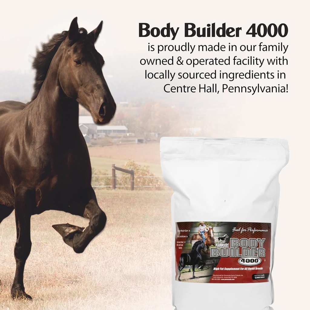 body-builder-4000-horse-weight-gain-supp-4.jpg