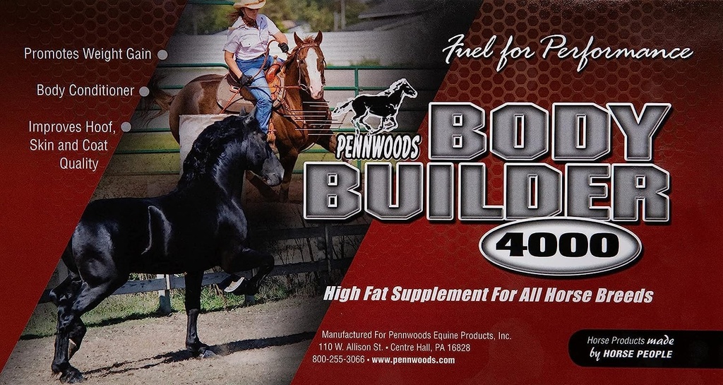 body-builder-4000-horse-weight-gain-supp-6.jpg