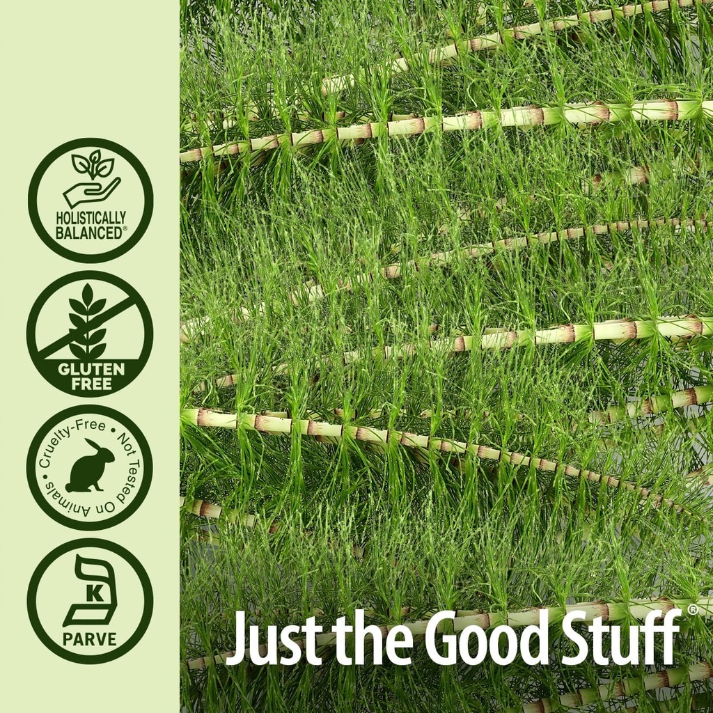 natures-answer-alcohol-free-horsetail-he-4.jpg