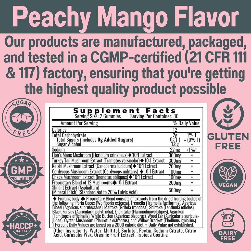 sugar-free-shilajit-mushroom-complex-gum-5.jpg