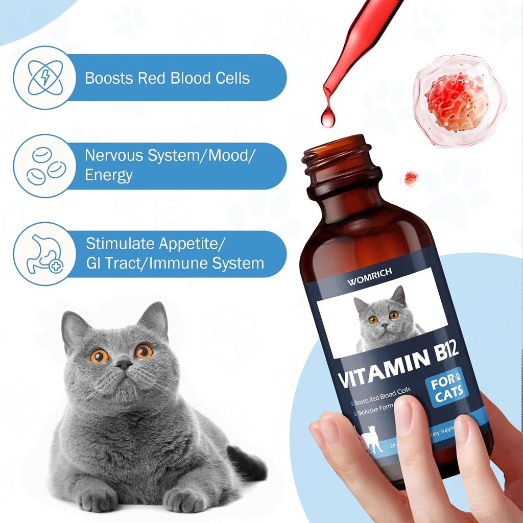 appetite-stimulant-vitamin-b12-for-cats--3.jpg