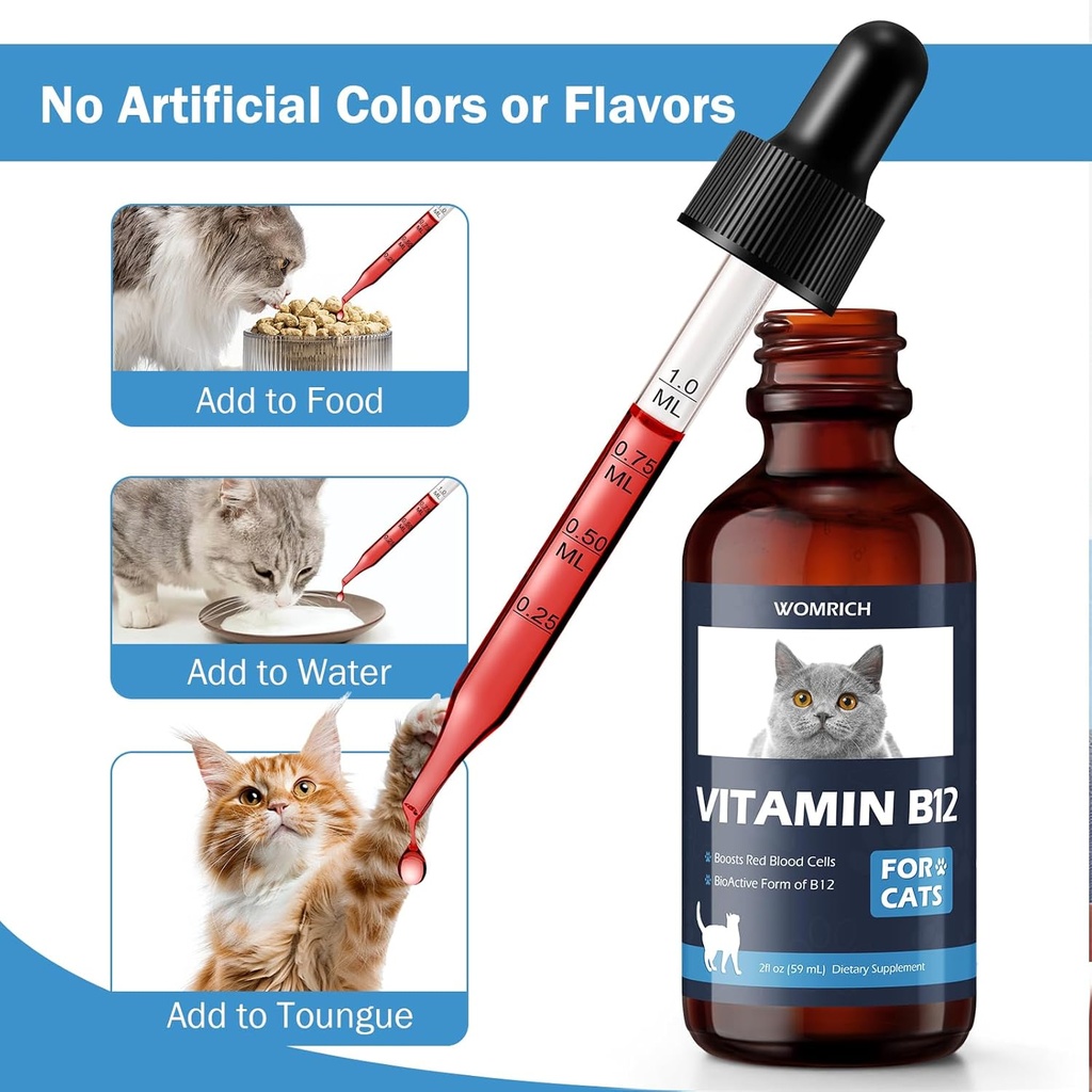 appetite-stimulant-vitamin-b12-for-cats--5.jpg