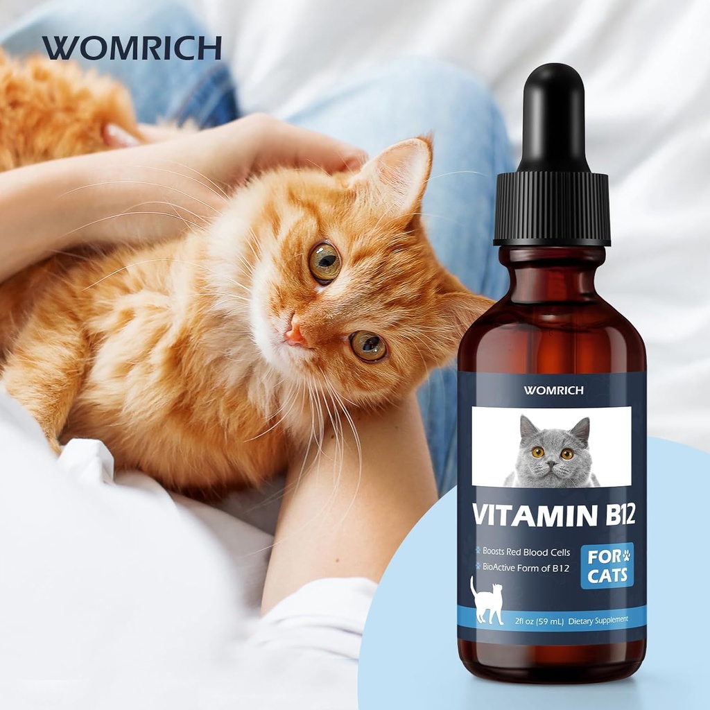 appetite-stimulant-vitamin-b12-for-cats--6.jpg