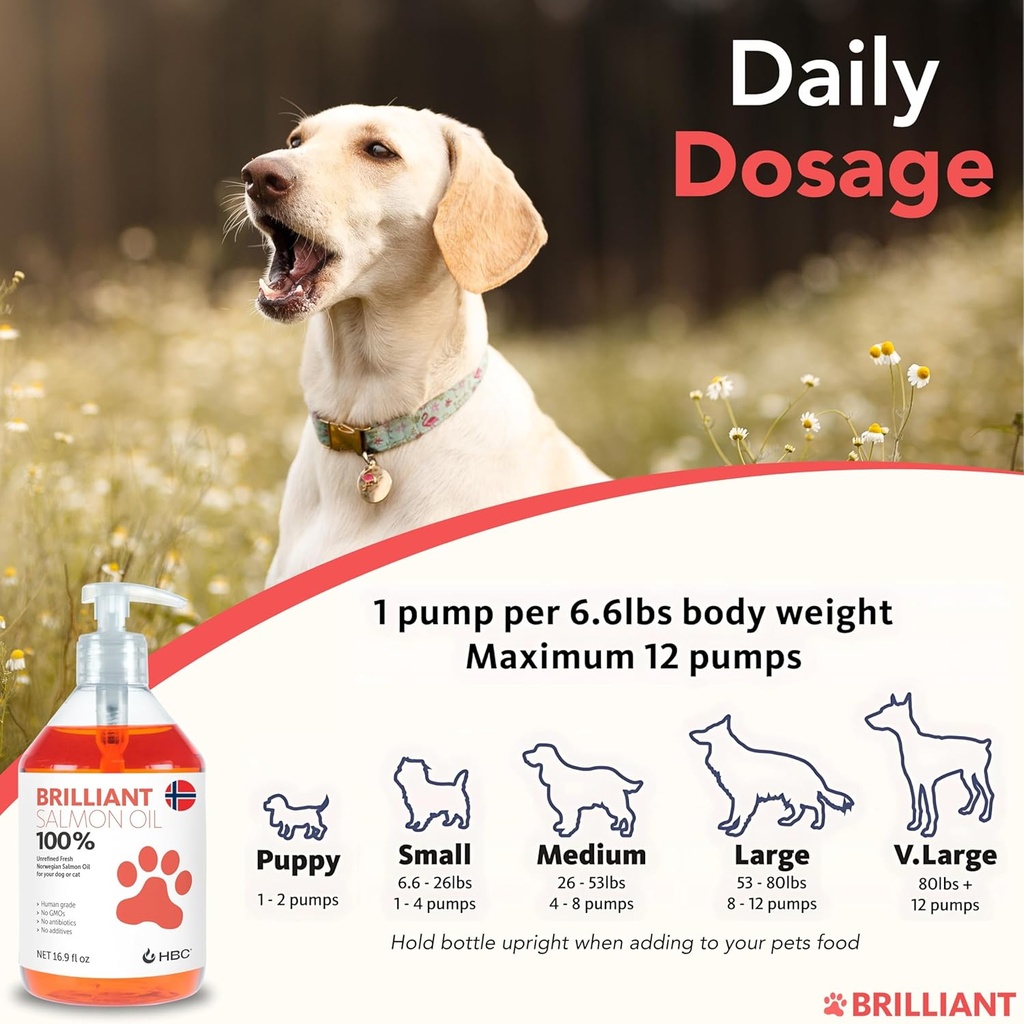 salmon-oil-for-dogs---healthy-skin-coat--6.jpg