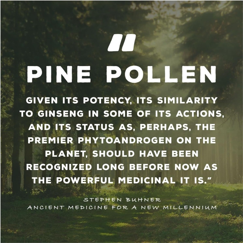 surthrival-pine-pollen-pure-potency-extr-5.jpg