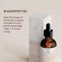elecampane-alcohol-free-natural-tincture-2.jpg