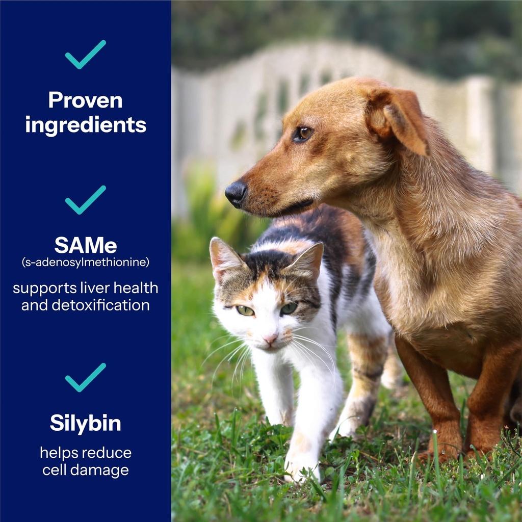 same-pro-liver-support-for-medium-dogs-2-4.jpg