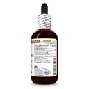 echinacea-echinacea-angustifolia-dry-roo-2.jpg