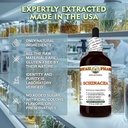 echinacea-echinacea-angustifolia-dry-roo-4.jpg