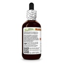 echinacea-echinacea-angustifolia-dry-roo-3.jpg