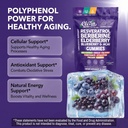 clean-nutra-resveratrol-berberine-elderb-2.jpg