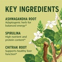 banyan-botanicals-active-lifestyle-bundl-3.jpg