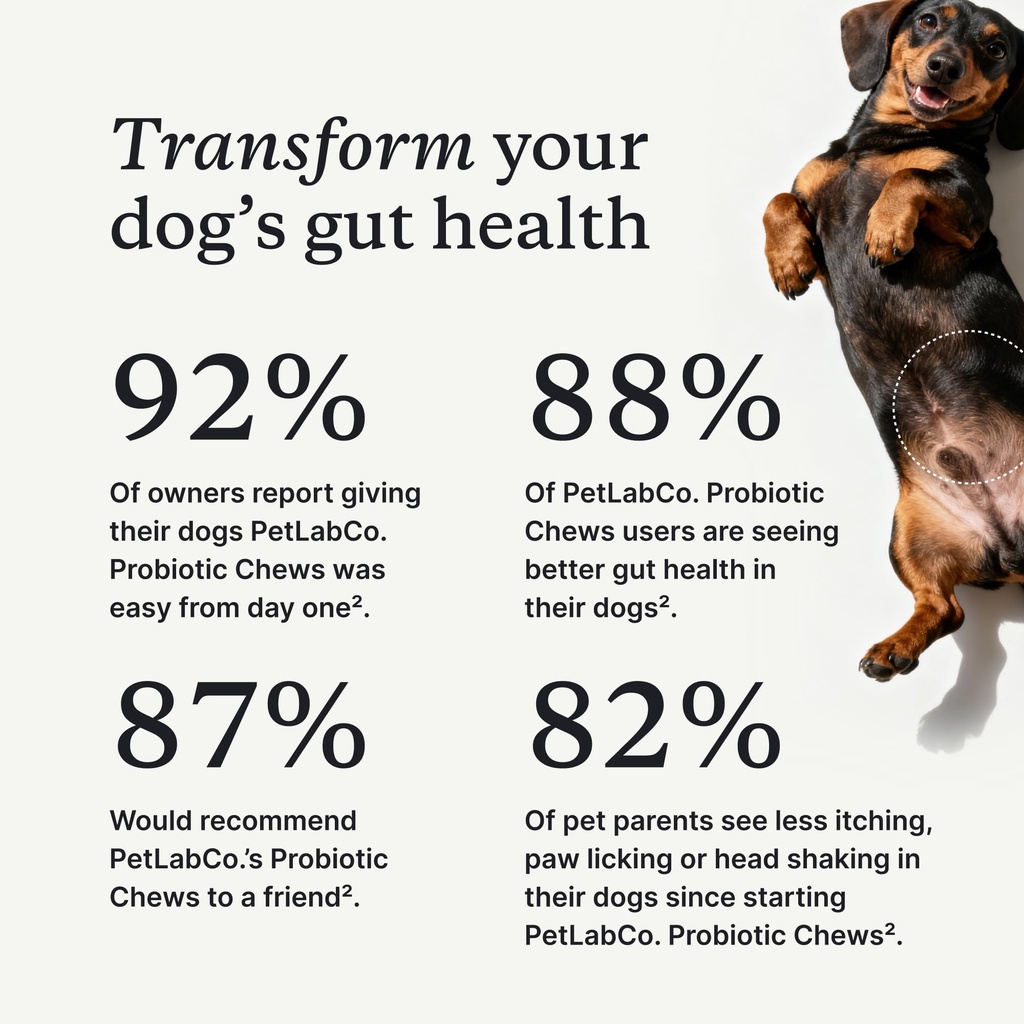petlab-co-probiotic-chews-for-dogs-30-so-2.jpg