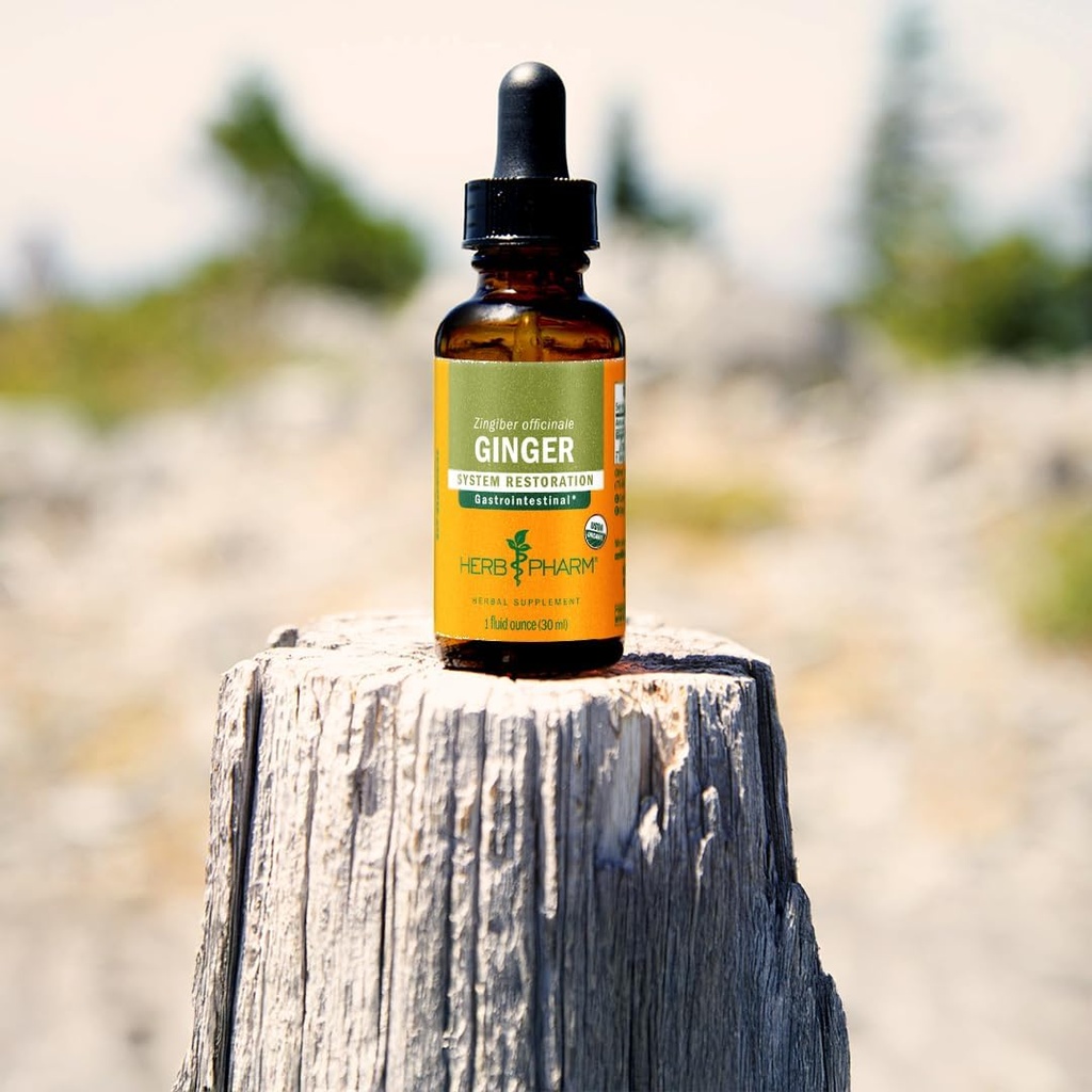 herb-pharm-certified-organic-ginger-liqu-5.jpg