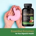 17-enzyme-blend-for-digestive-gut-health-2.jpg