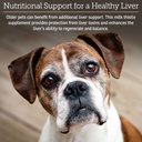 rx-vitamins-liquid-hepato-support-for-do-2.jpg