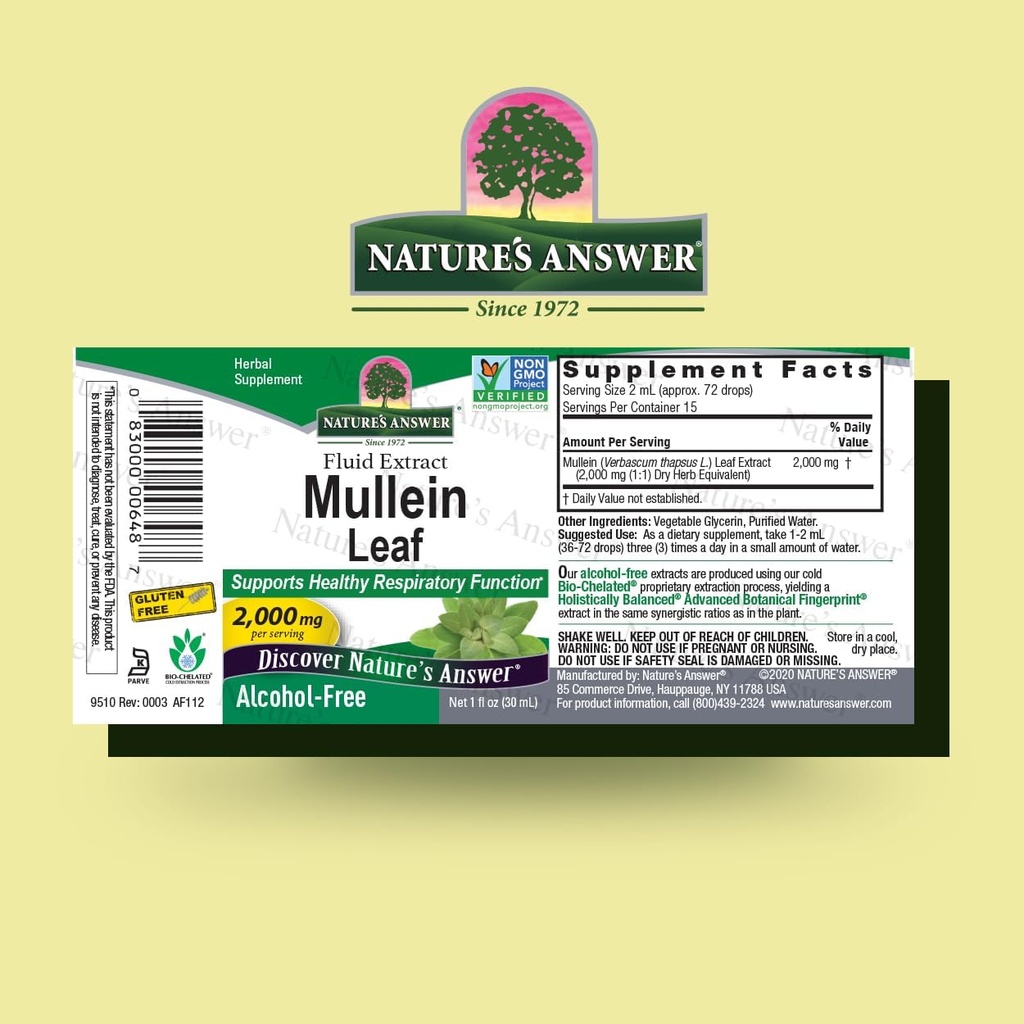 natures-answer-mullein-herb---mullein-le-2.jpg