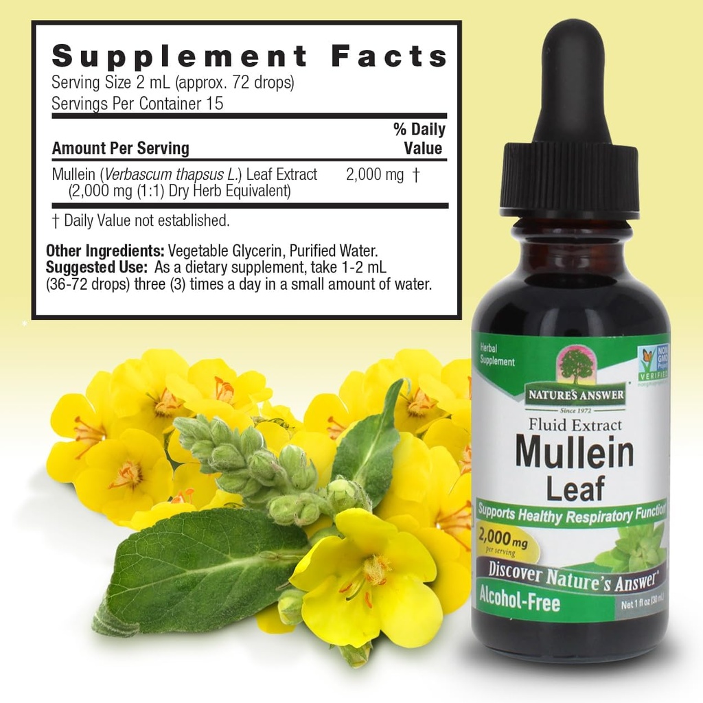 natures-answer-mullein-herb---mullein-le-3.jpg